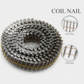 Professional 15degree Coil Nail avec une bonne qualité